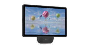 T10 Kiosk von Bluebird